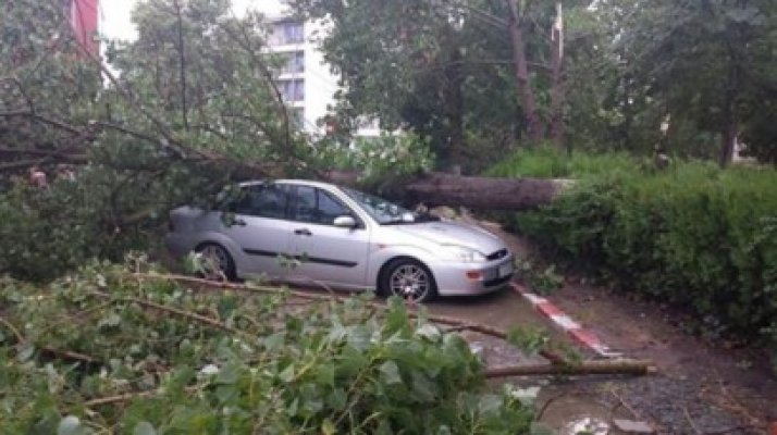 Furtuna şi ploaia torenţială au răvăşit sudul litoralului: copacii smulşi din rădăcini au avariat mai multe maşini